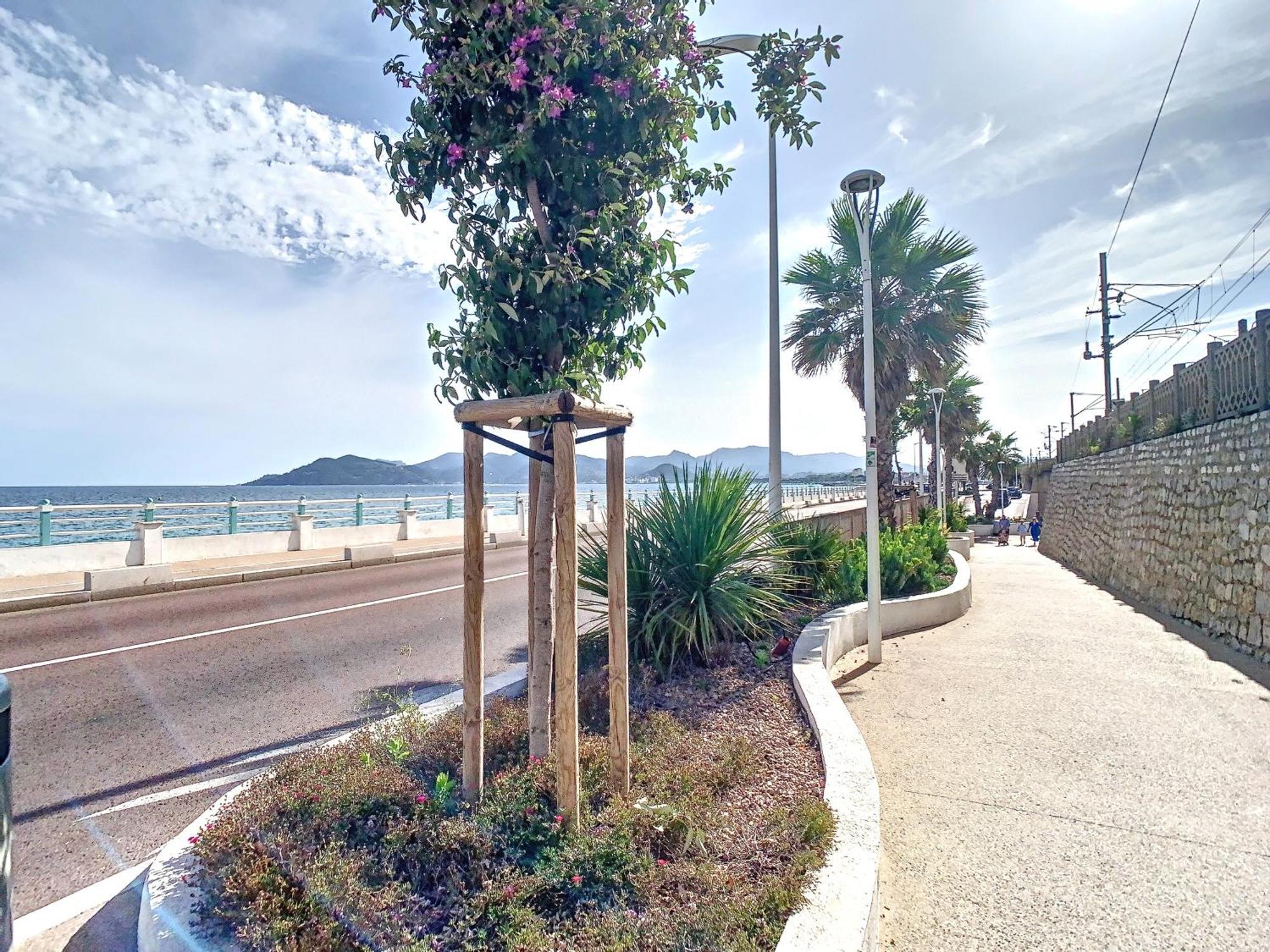 Appartement 3 Chambres A Proximite Des Plages Cannes Exterior photo